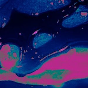 Meet your Posher, Liam